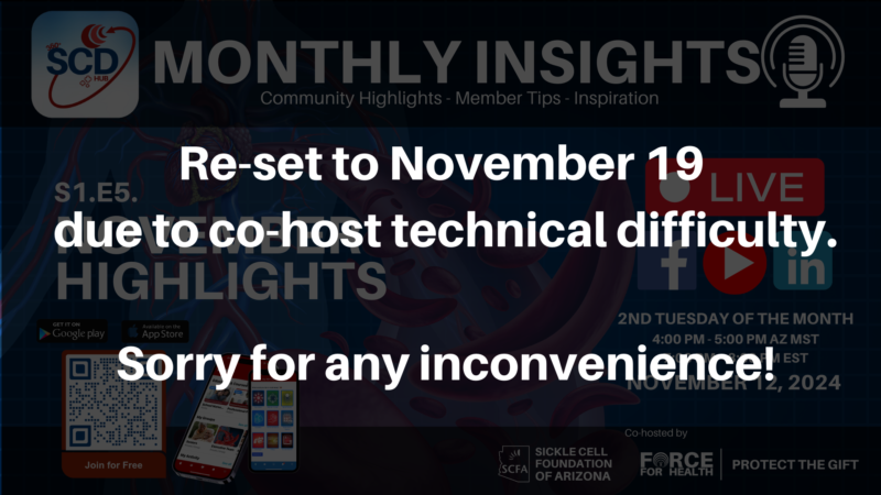 Monthly Insight Promo 1