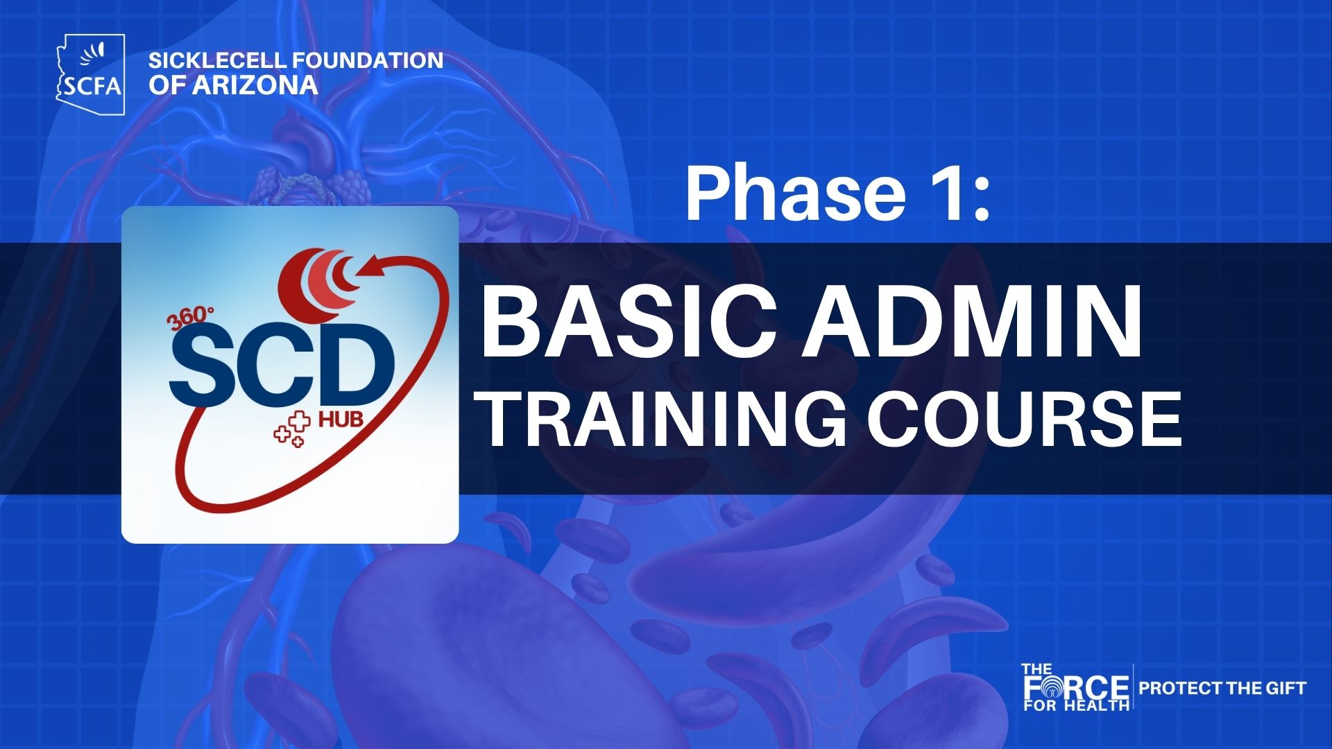 Phase 1: Basic Admin Training