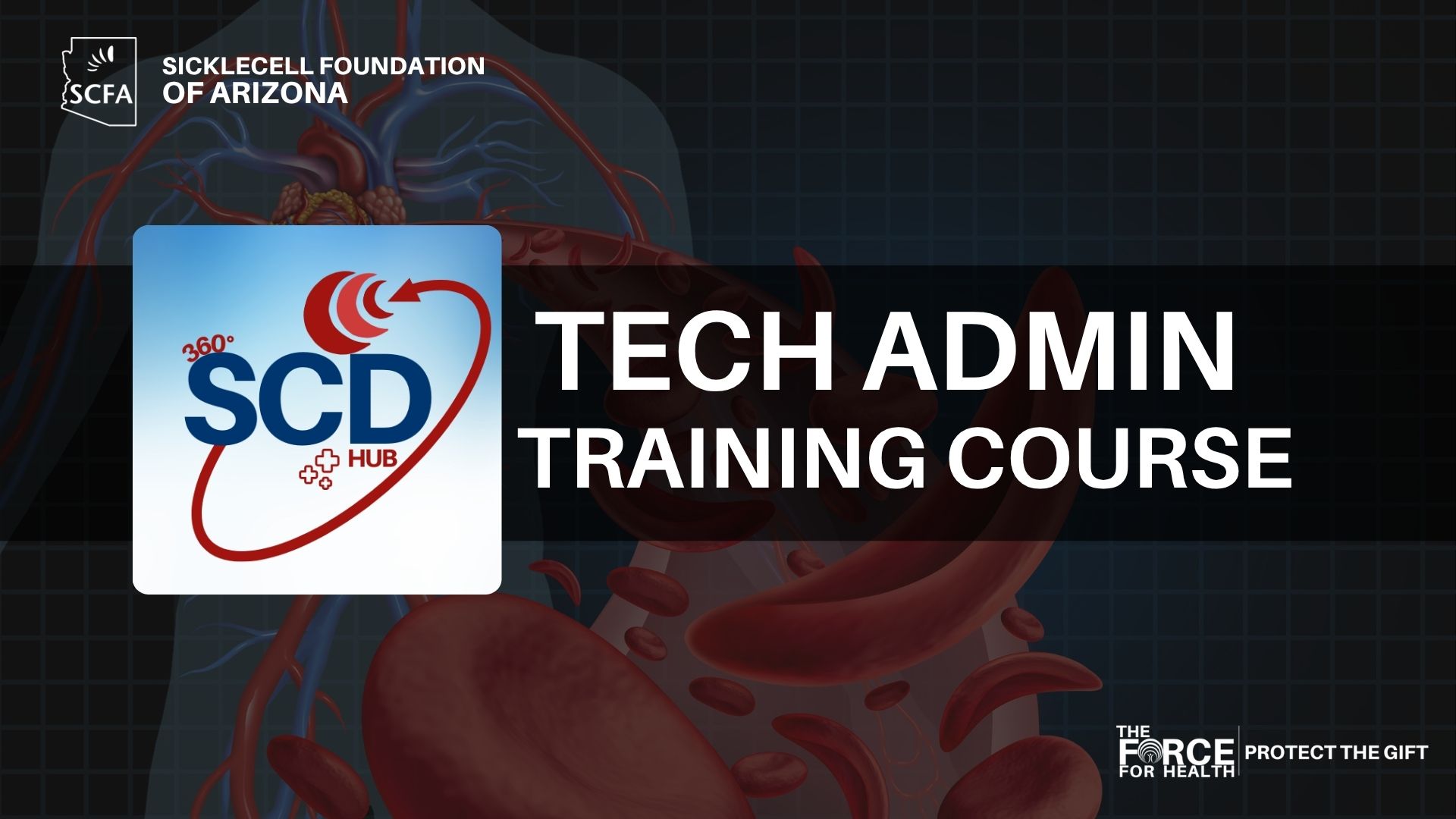 Phase 2: Admin Tech Training