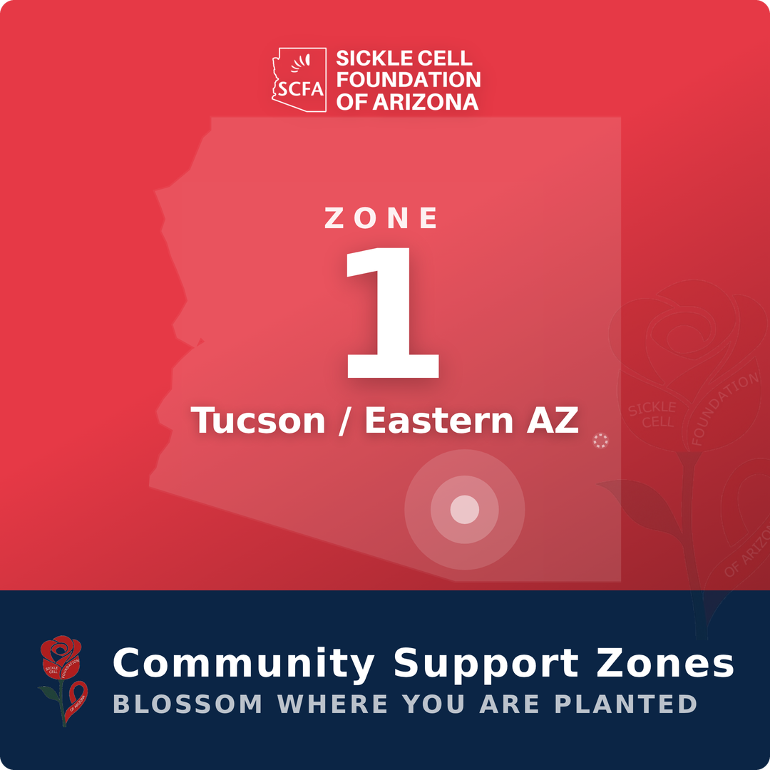 Community Support Zone 1