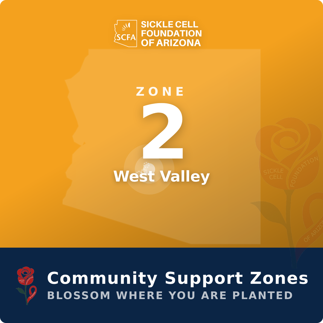 Community Support Zone 2