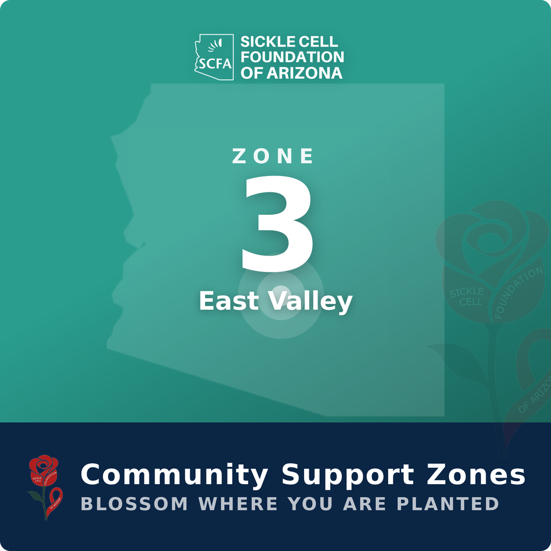 Community Support Zone 3