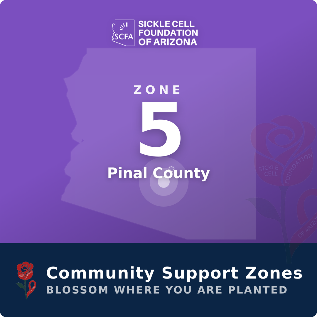 Community Support Zone 5