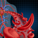 Group logo of Executive 360° SCD Hub Team